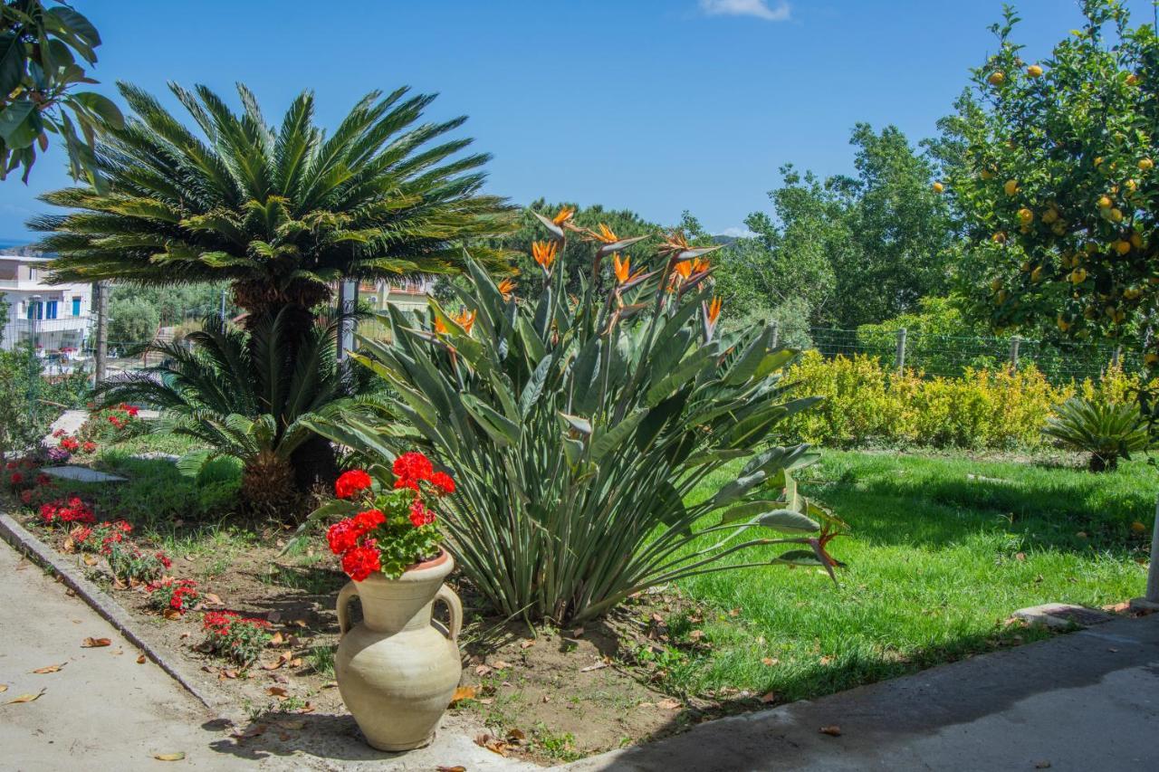Вилла Casa Yucca Форио Экстерьер фото