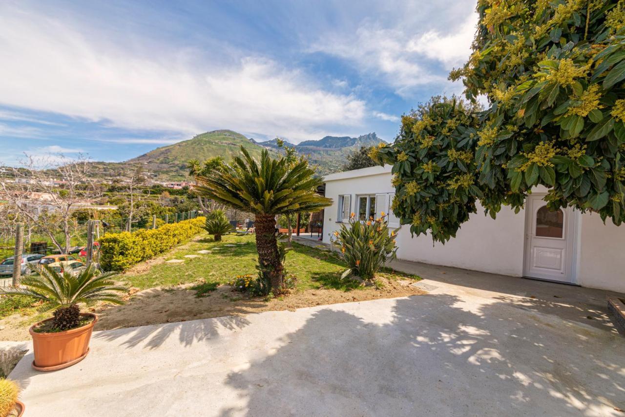 Вилла Casa Yucca Форио Экстерьер фото