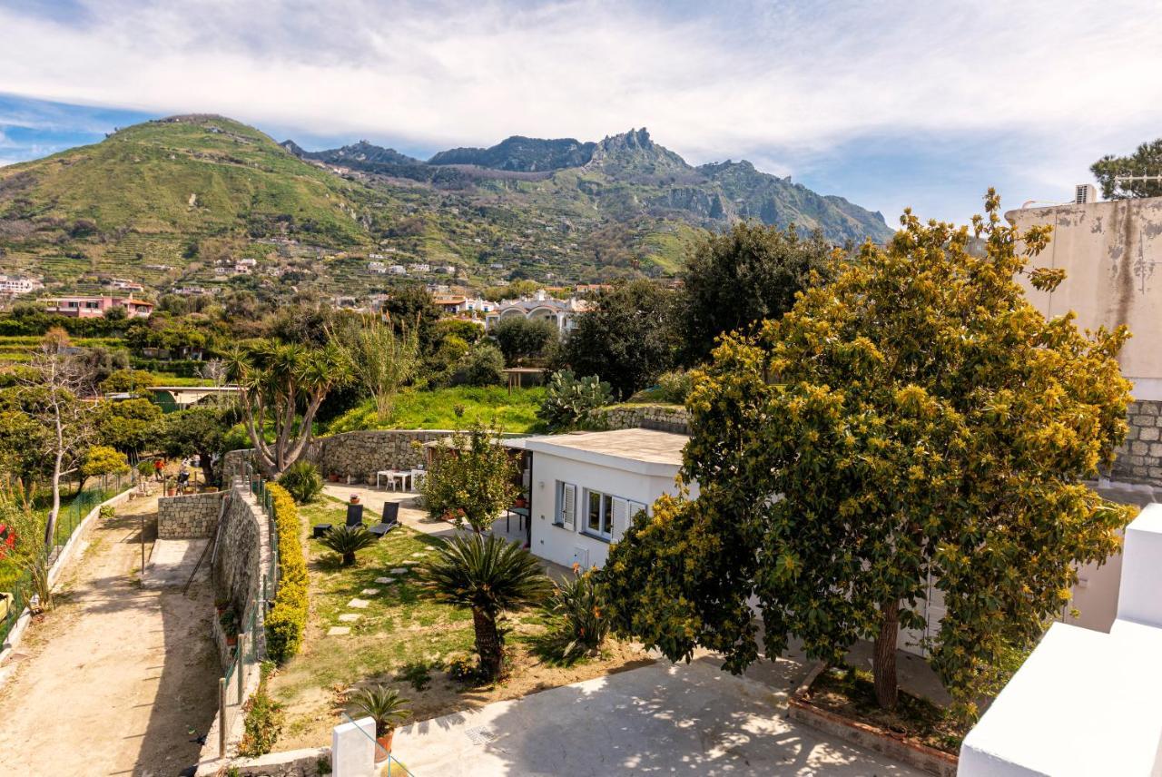 Вилла Casa Yucca Форио Экстерьер фото
